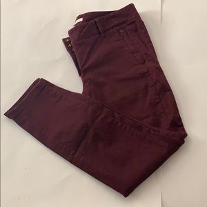 Burgundy LOFT skinny pants